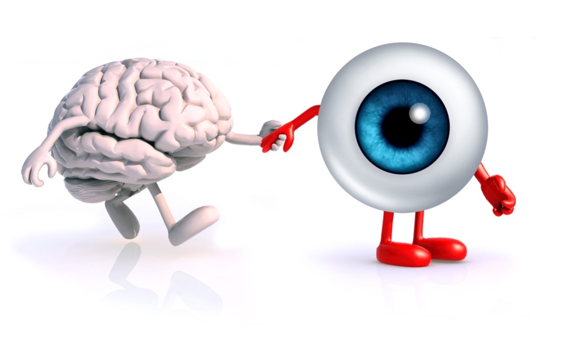 Interconnexion vision cerveau